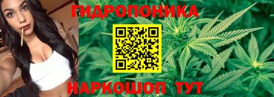 бошки Сланцы