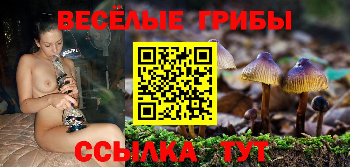 Галлюциногенные грибы GOLDEN TEACHER Отрадное