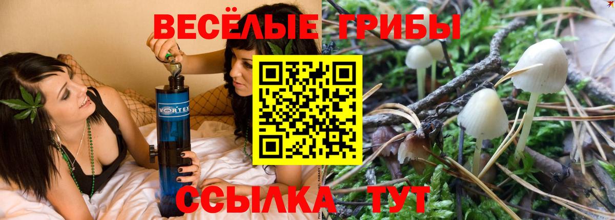 где купить наркоту  Вход с VPN  Отрадное  Галлюциногенные грибы мицелий 