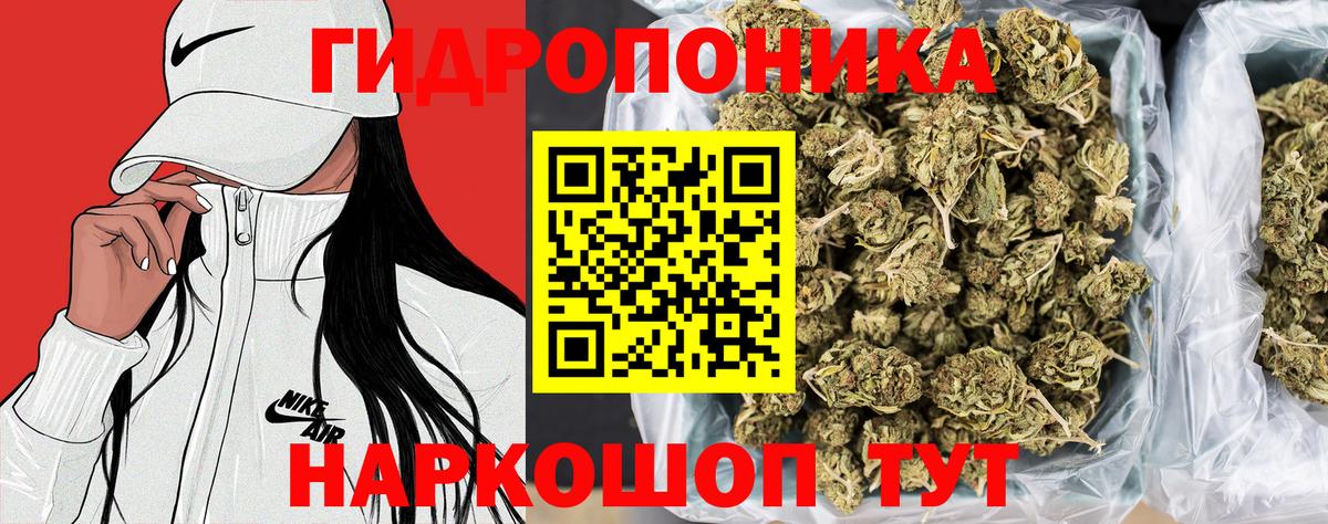 Каннабис гибрид Отрадное